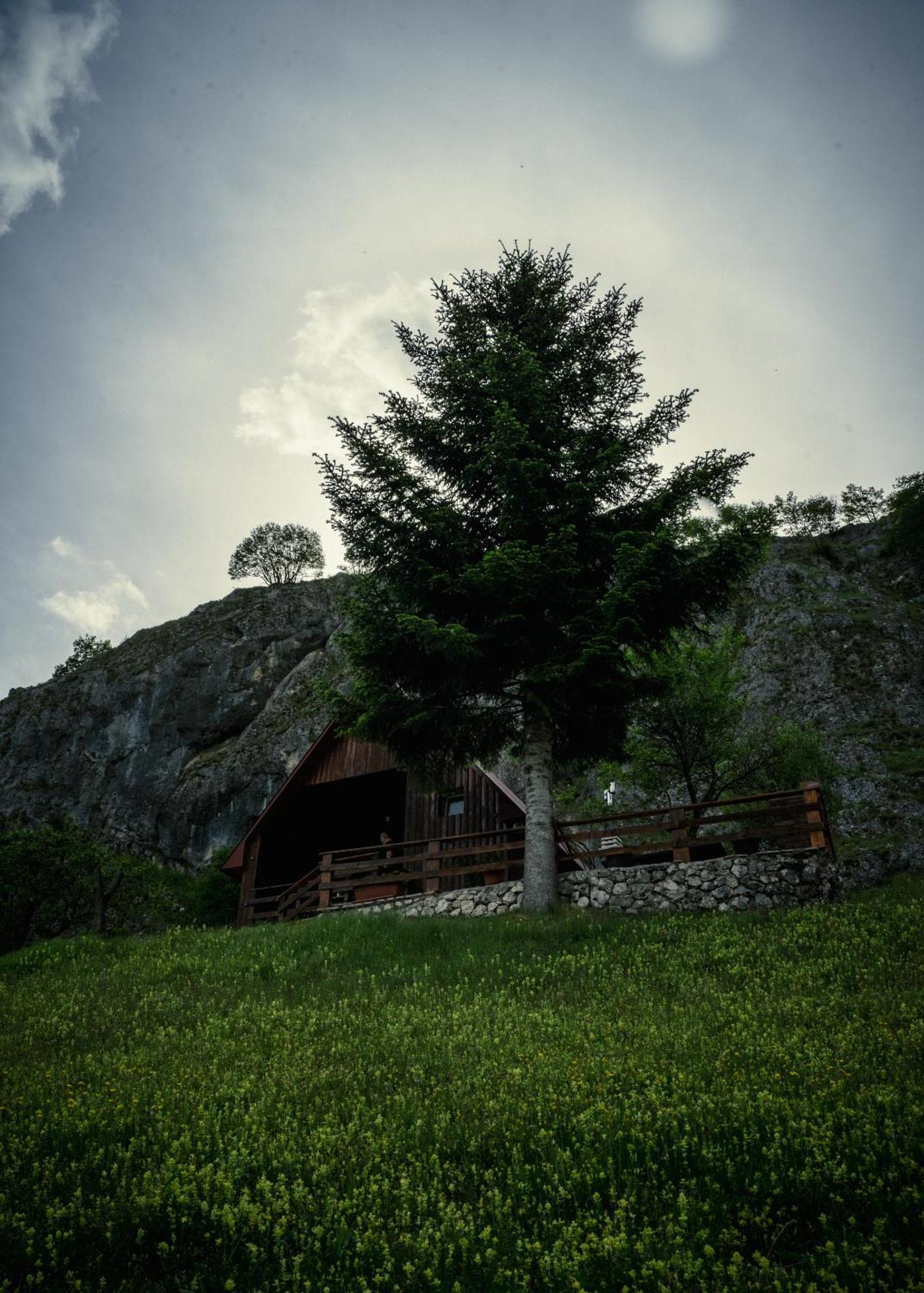 Detached house Milivoje Hotel Poscenje Buitenkant foto